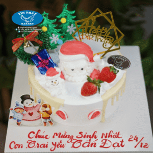 Bánh Kem Ông Già Noel TP 2482