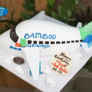 Bánh Kem Máy Bay Boeing 787 TP 3126